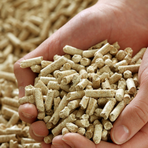 Wood pellets for bedding